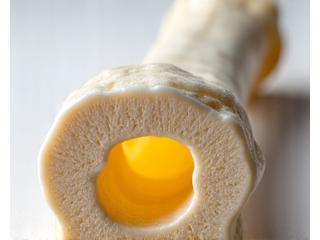 Close-up of a healthy bone structure